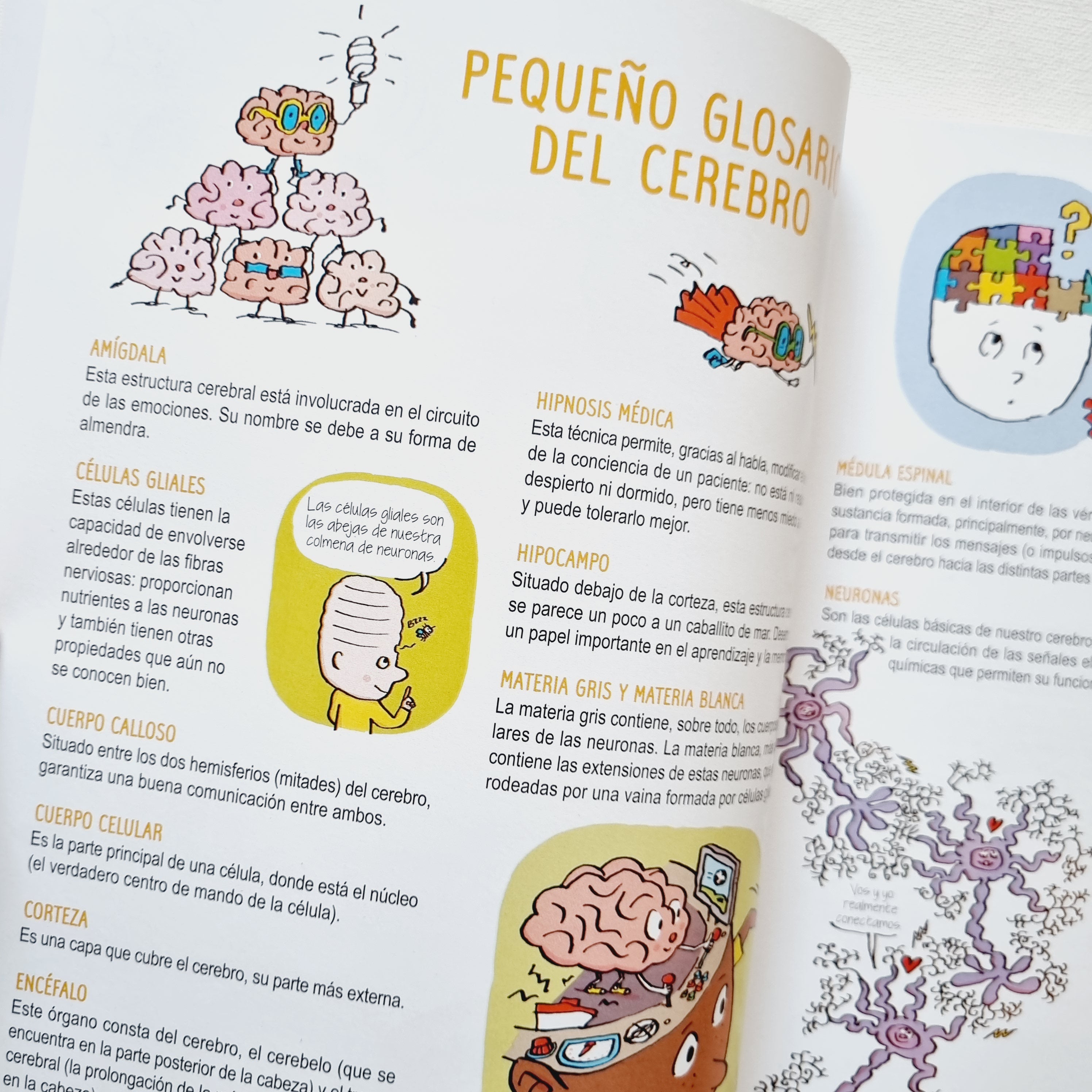 El cerebro para curiosos. De 7 a 107 años El cerebro para curiosos. De 7 a 107 años
